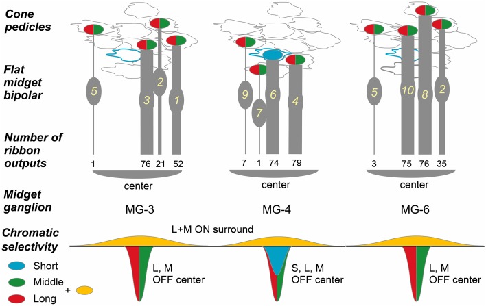 Figure 11