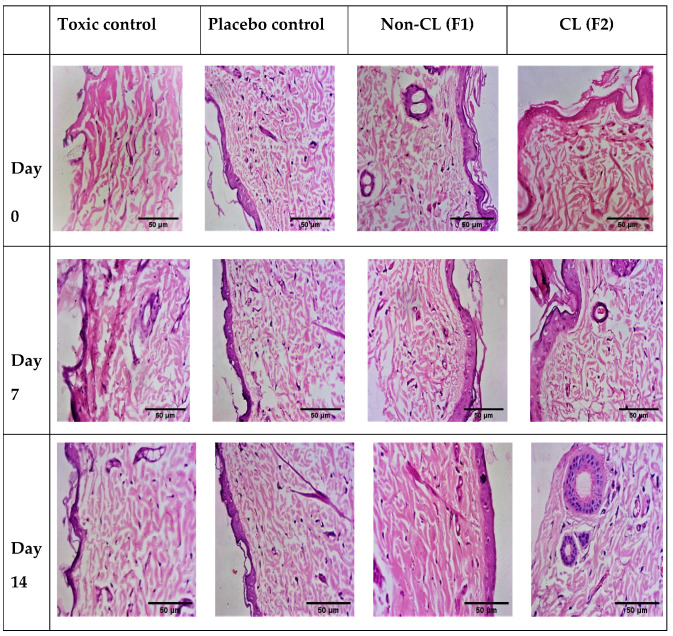 Figure 15