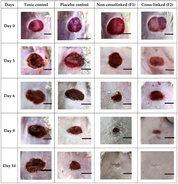 Figure 13