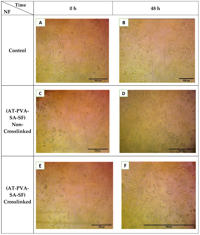 Figure 12