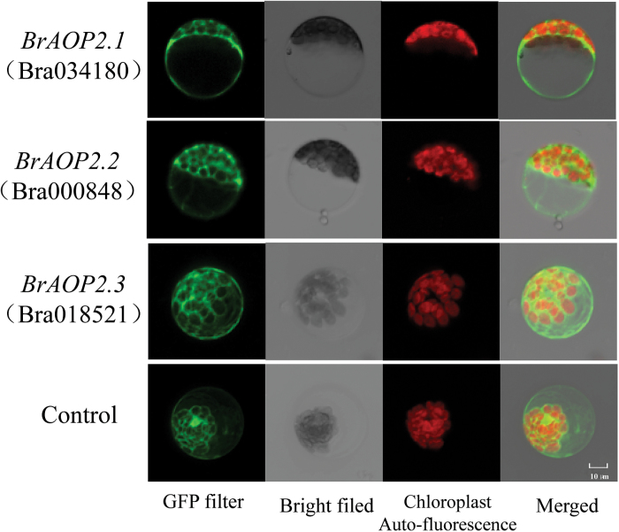 Fig. 4.