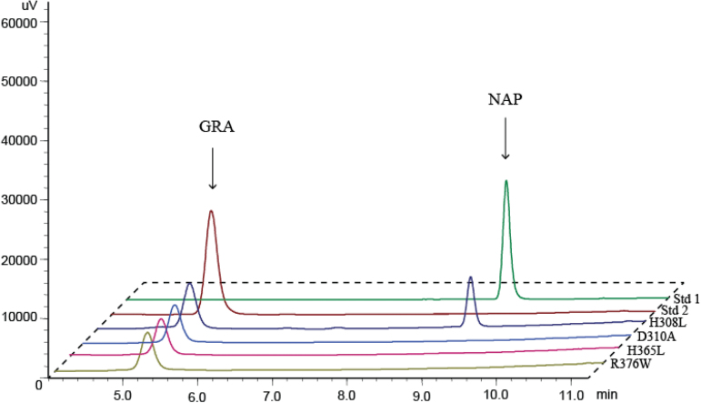 Fig. 8.