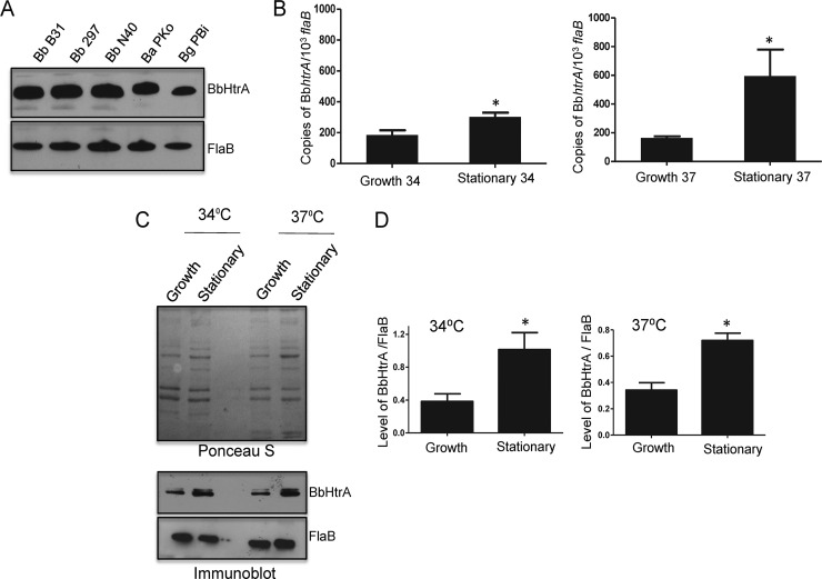 FIG 1