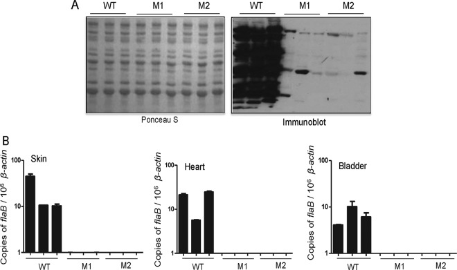 FIG 4