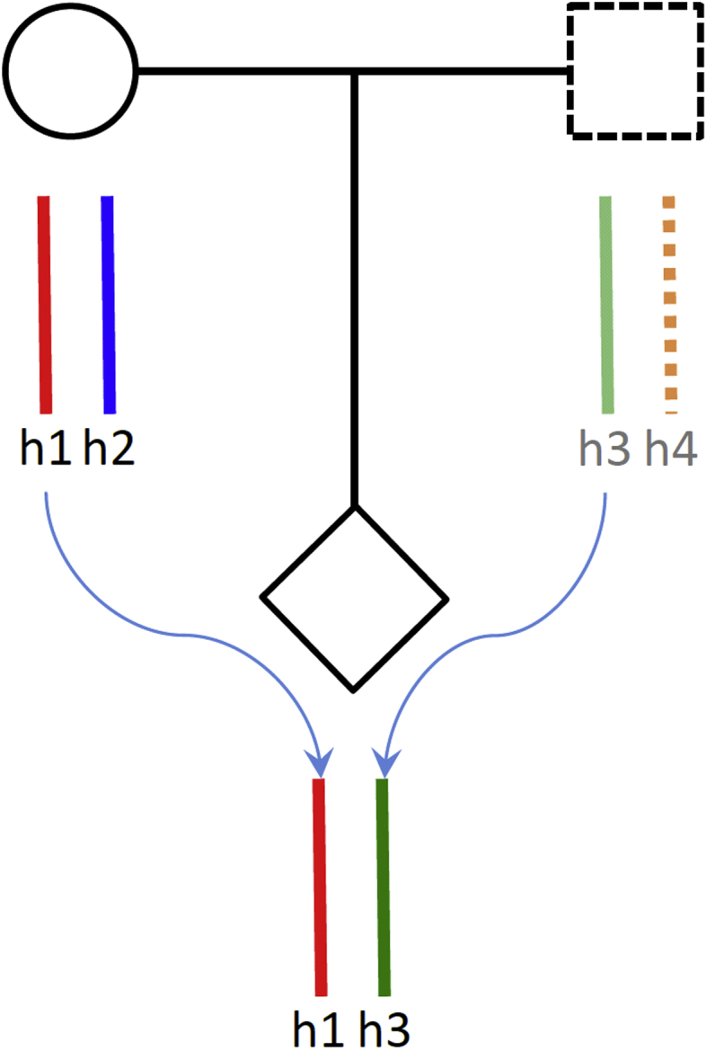 Fig. 2