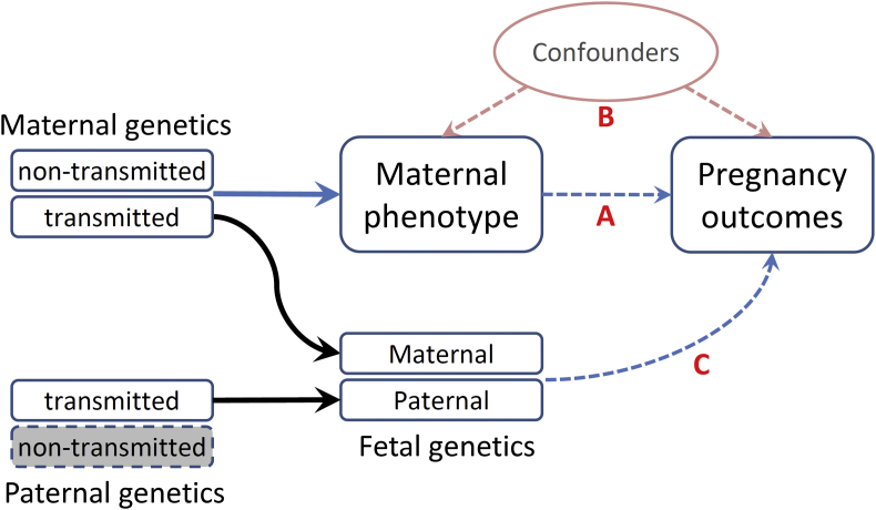 Fig. 3