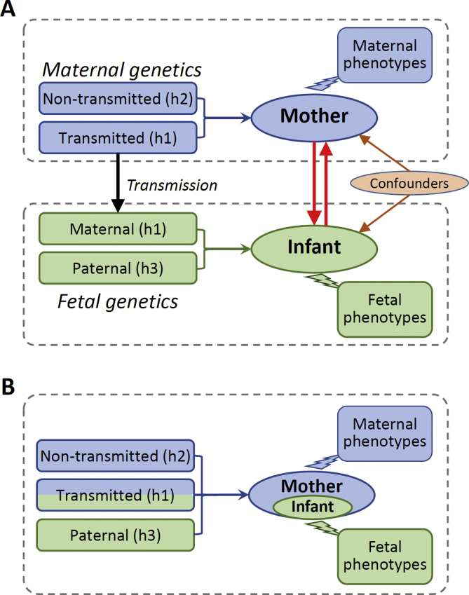 Fig. 4