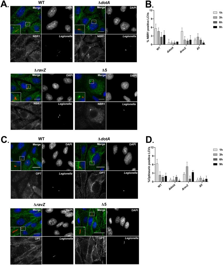 FIG 3