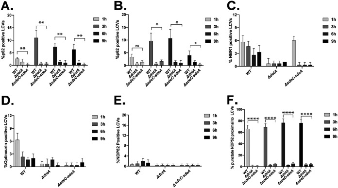 FIG 6