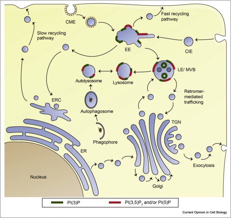 Figure 2