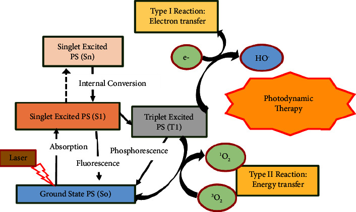 Figure 9