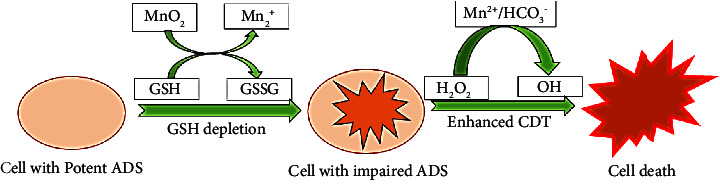 Figure 11