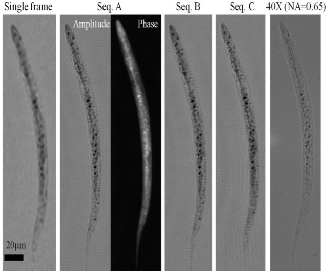 Fig. 4