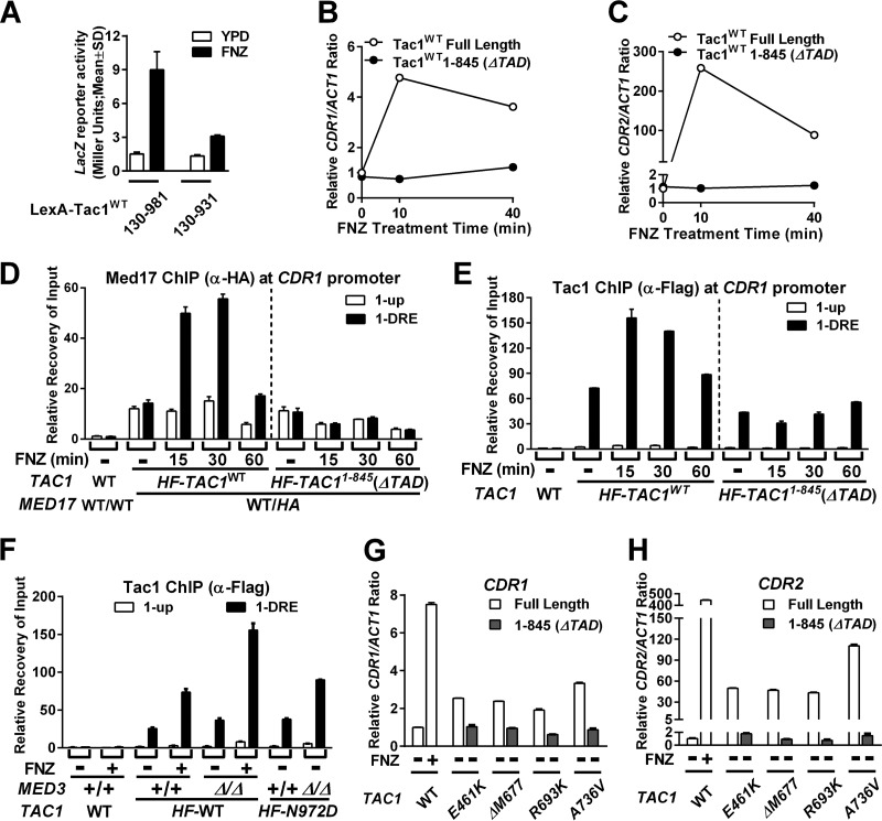 FIG 6