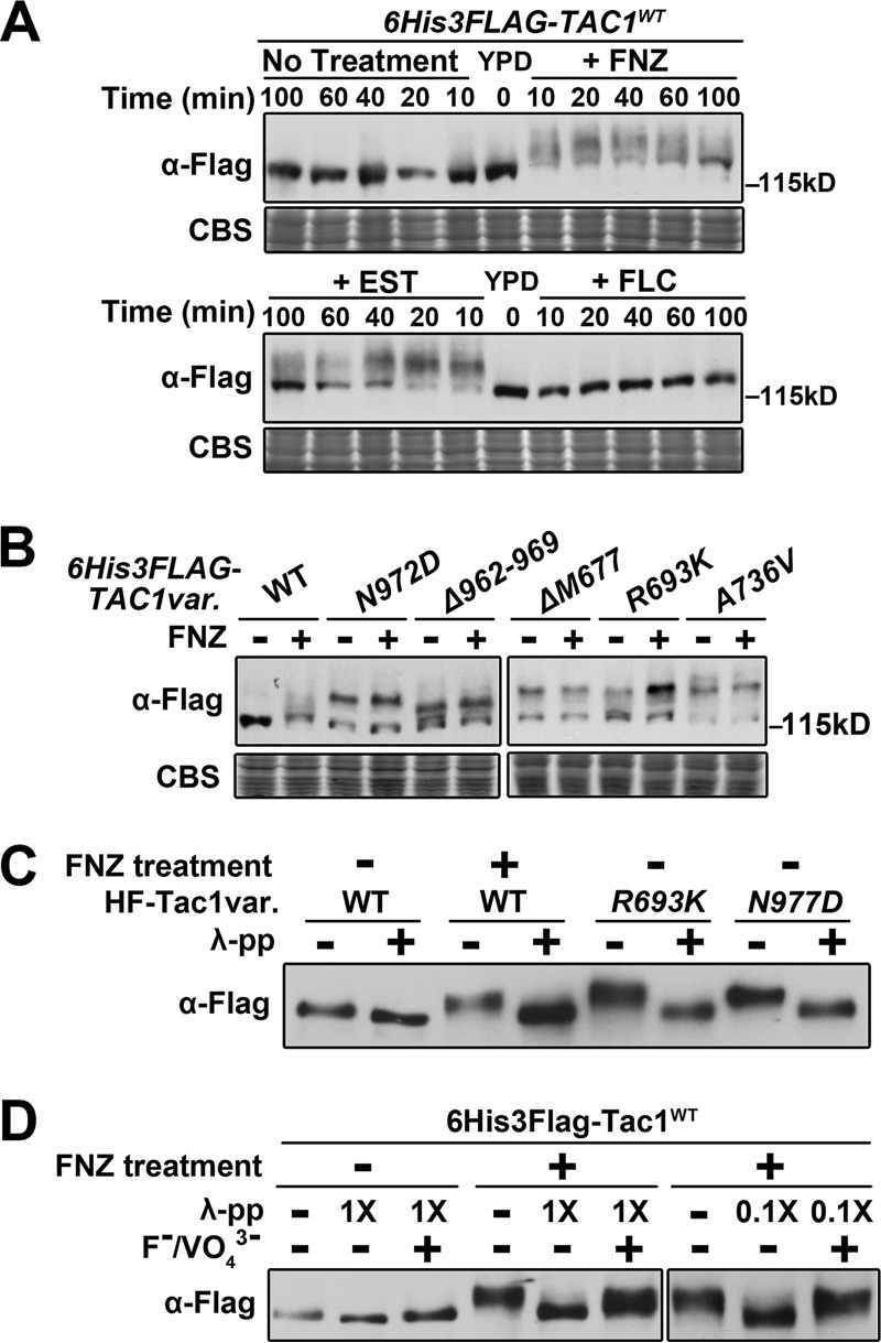 FIG 8