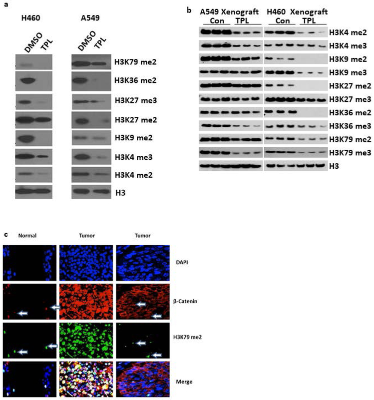 Figure 3: