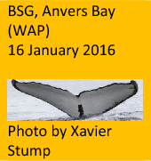 graphic file with name 41598_2021_2612_Fign_HTML.gif