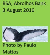 graphic file with name 41598_2021_2612_Figu_HTML.gif