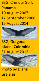 graphic file with name 41598_2021_2612_Figaa_HTML.gif