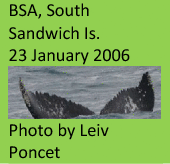 graphic file with name 41598_2021_2612_Figl_HTML.gif
