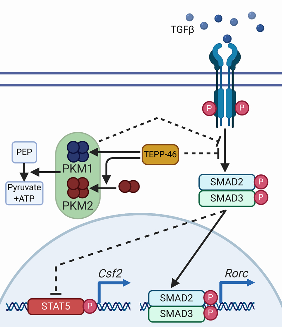 Fig. 8: