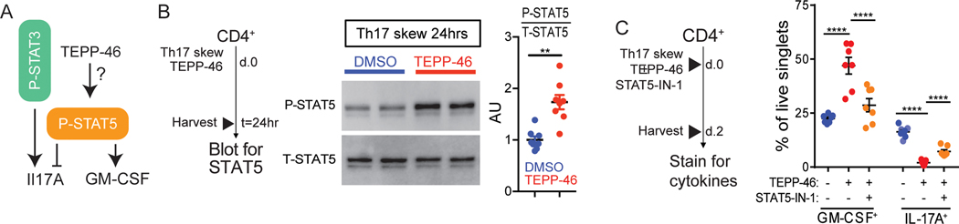 Fig. 6: