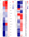 Figure 13