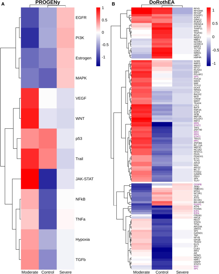 Figure 11