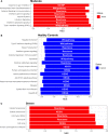 Figure 12