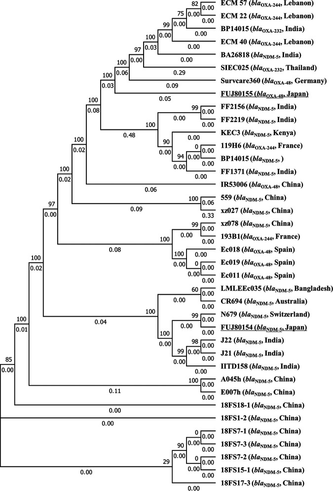 FIG 2