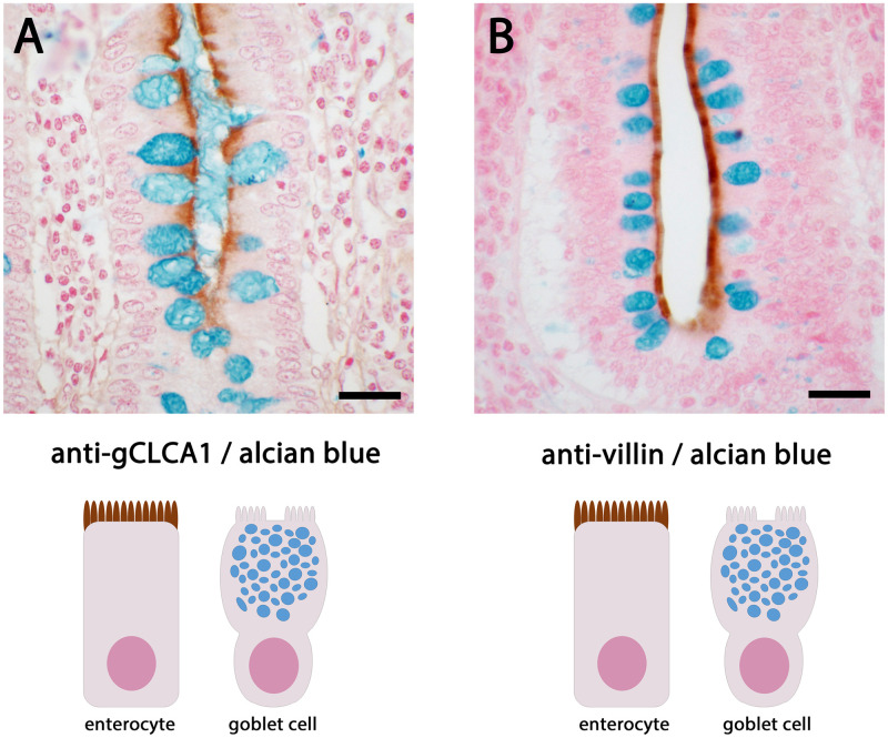 Fig 8