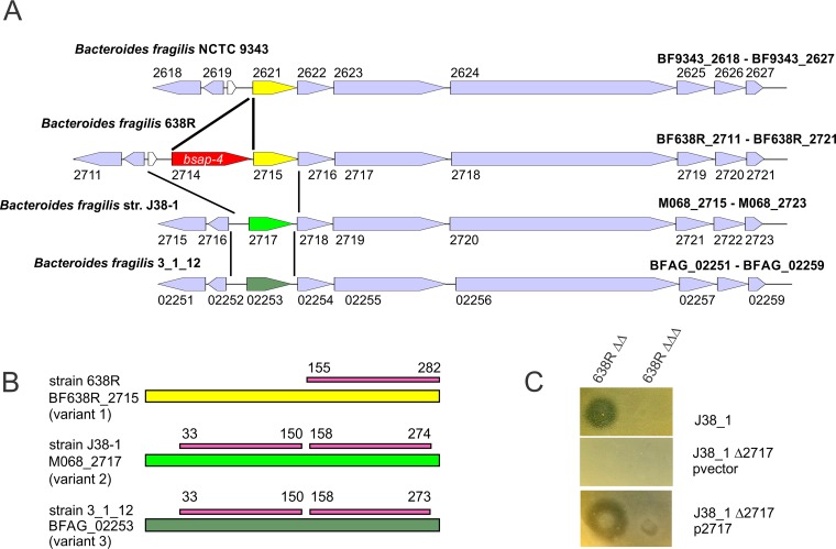 FIG 3