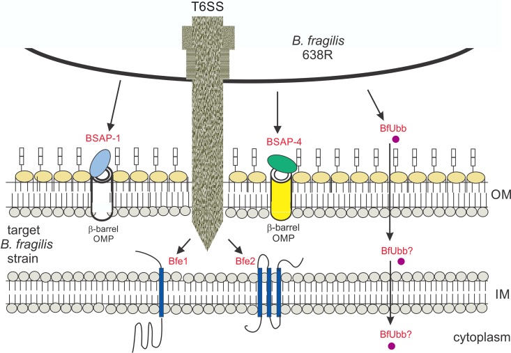 FIG 6