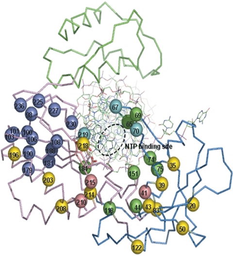 FIG. 3.