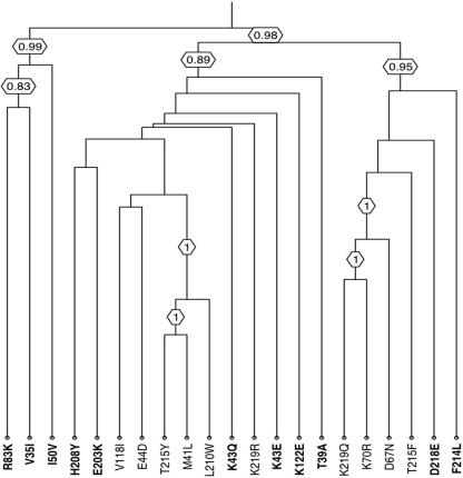 FIG. 2.