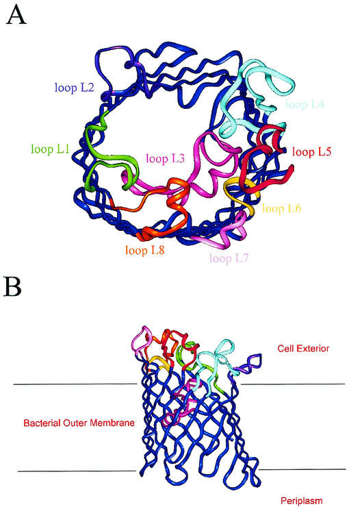 FIG. 2.