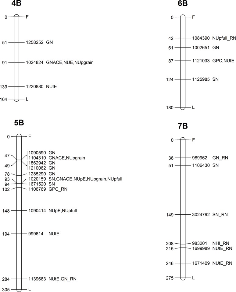 Fig 6