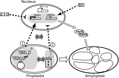 Figure 7.