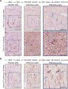 Extended Data Figure 6