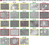 Extended Data Figure 2