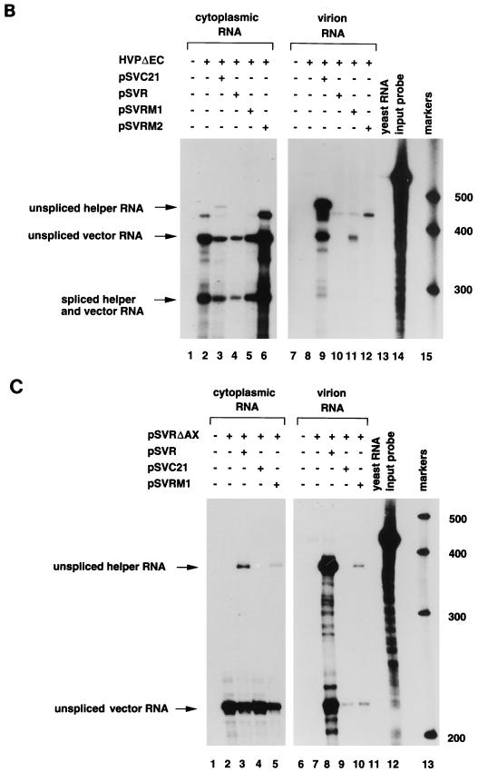 FIG. 5