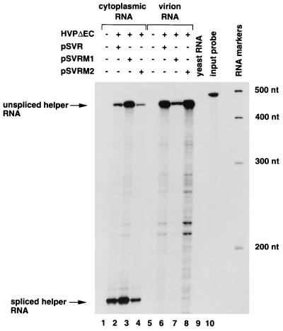 FIG. 6