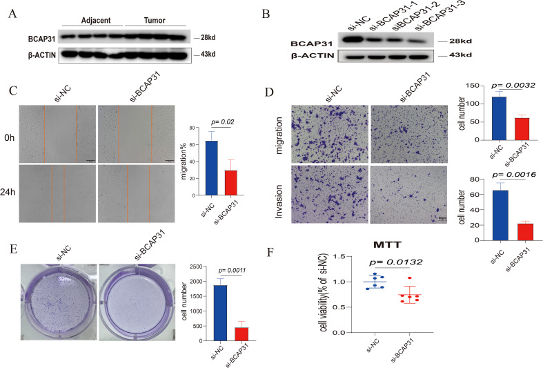 Figure 15