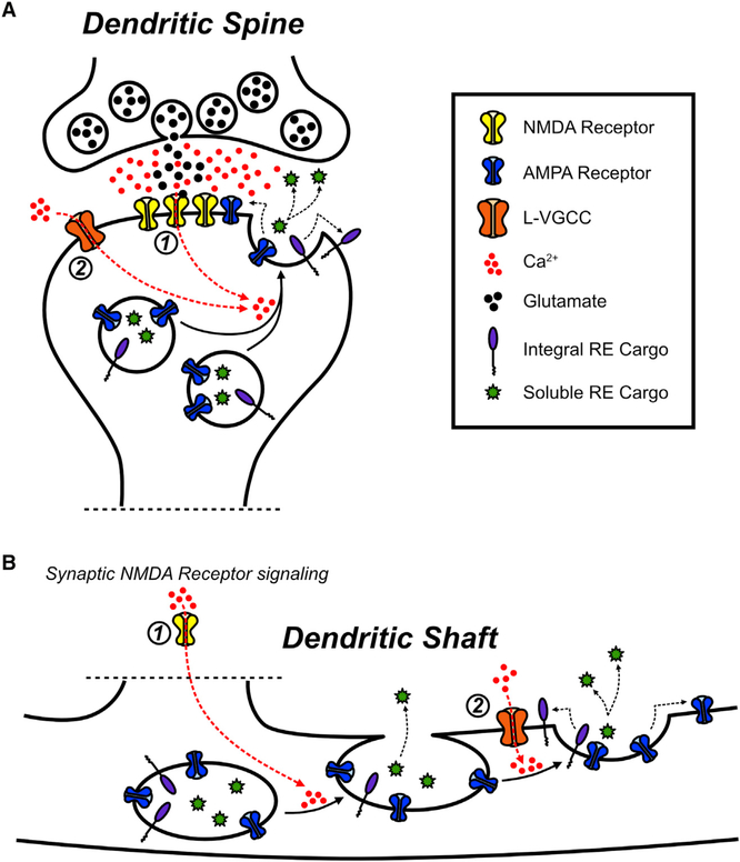 Figure 7.