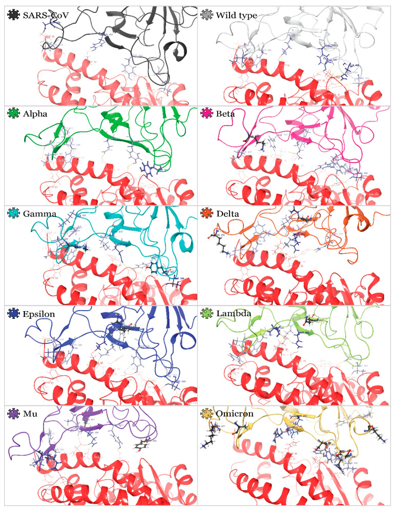 Figure 5