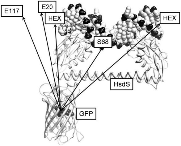 Fig. 3