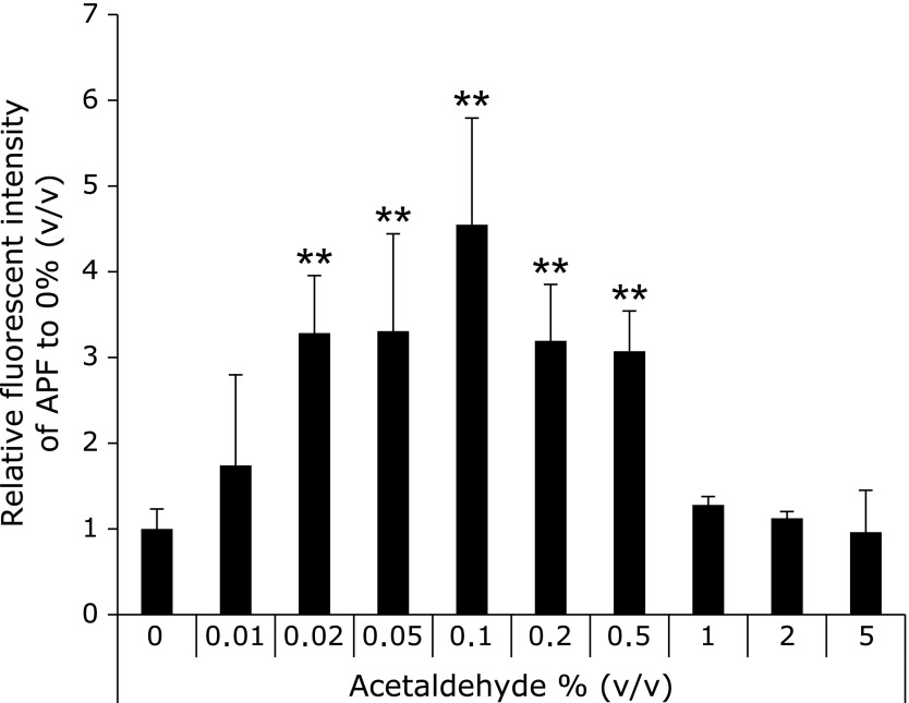 Fig. 3