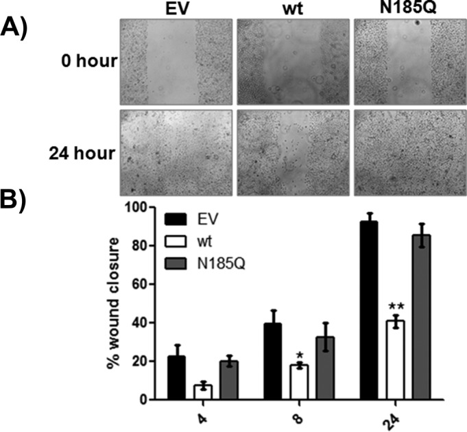 FIGURE 5: