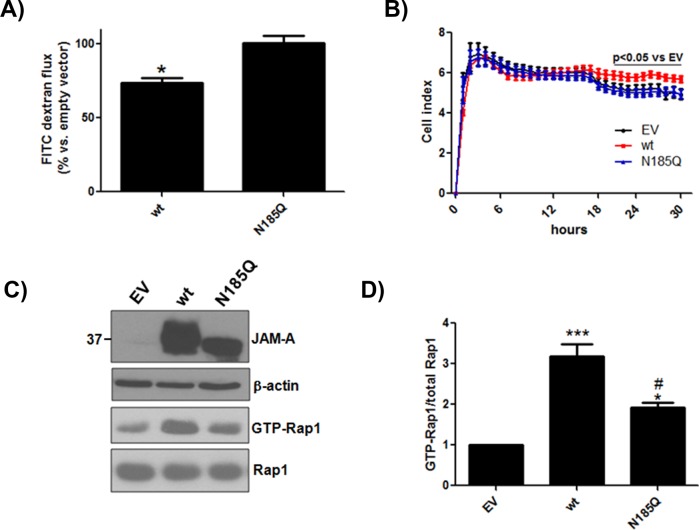 FIGURE 3: