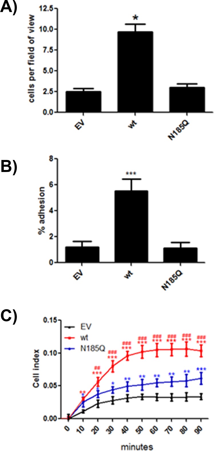 FIGURE 6: